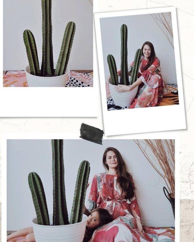 Instagram.com/sabaidieter